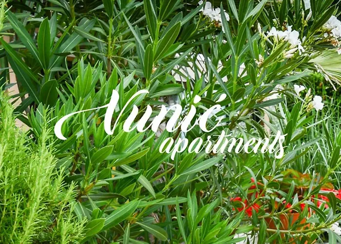 Vunic * Mošćenička Draga