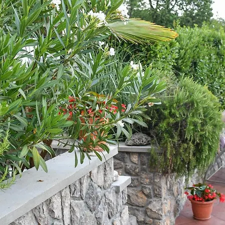 Vunic Moscenicka Draga