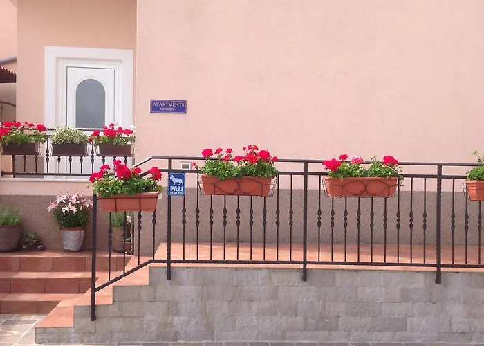 Apartman Vunic